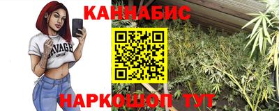 МДПВ Кингисепп