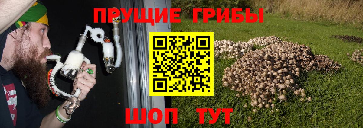 Галлюциногенные грибы мицелий  Вход с VPN  наркотики  Котельники 