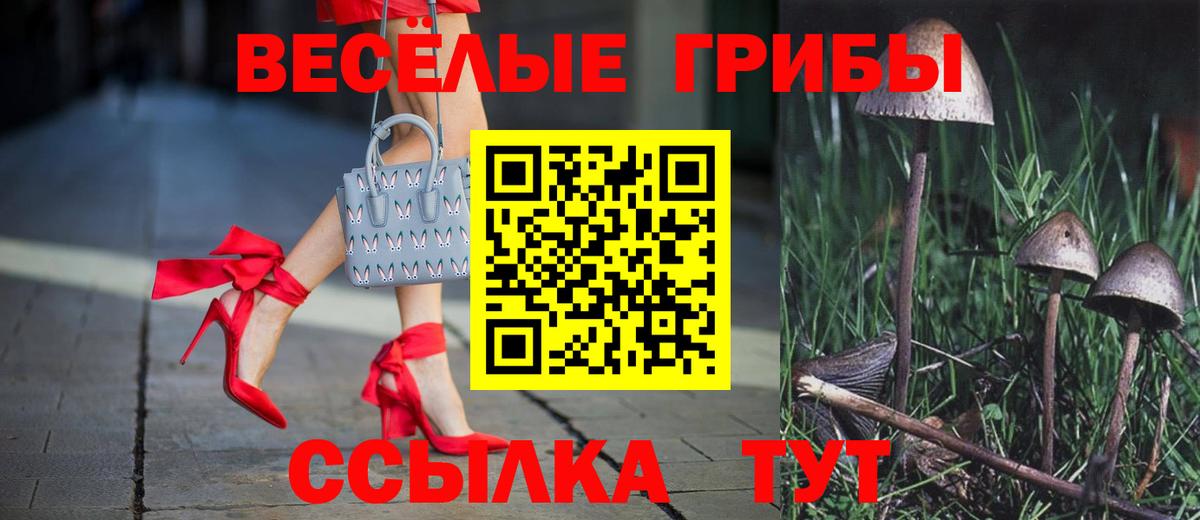 Псилоцибиновые грибы MAGIC MUSHROOMS Котельники